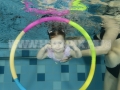 DSC_2533