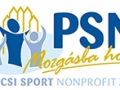 PSN-Zrtkicsi